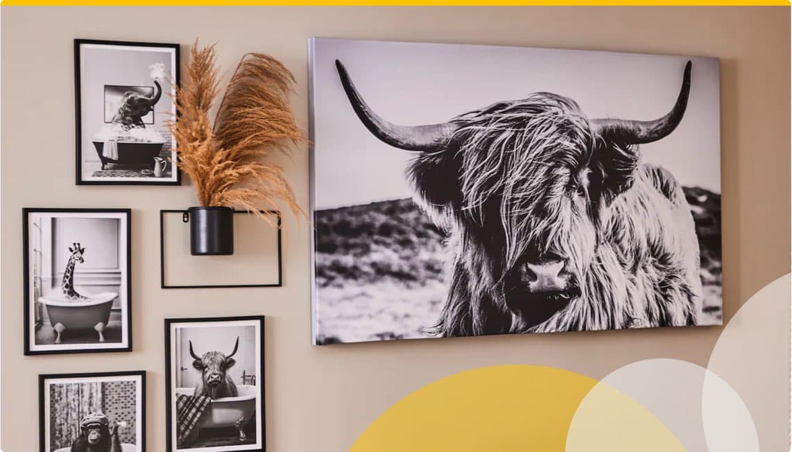 Wand mit Bildern von Tieren, darunter ein großes Foto eines Hochlandrindes und kleinere Bilder einer Giraffe und eines Affen in Badewannen