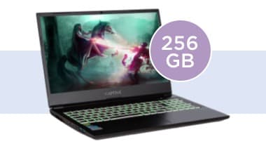 Laptops 256 GB