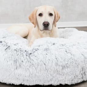 Hundekissen