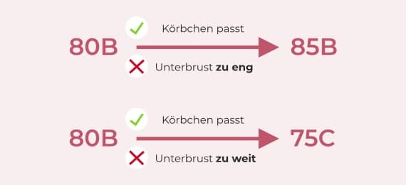 Körbchengröße