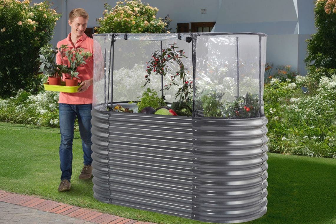 Person im Garten trägt Tablett mit Blumentöpfen zu hohem, grauen Hochbeet mit transparenter Abdeckung und Gemüse